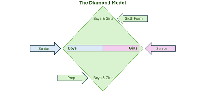 Diamond-Model-Internate in Großbritannien: Mädchen-, Jungen- oder koedukative Schule? | Dickinson Britische Schulberatung